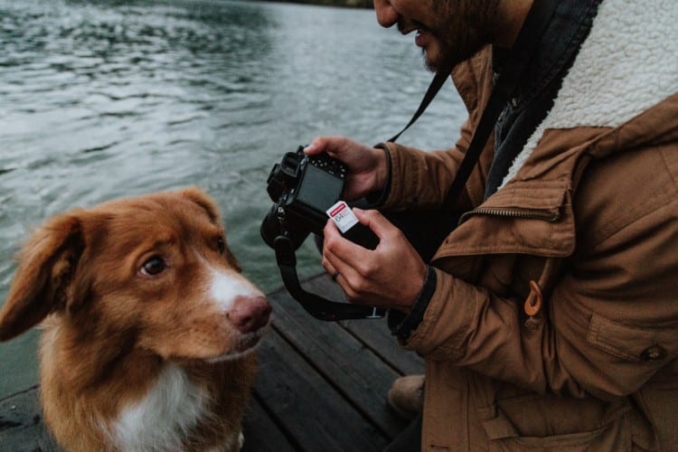 5 of the Best Cameras For Pet Photography – Purrfect Pet Portraits!