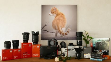 The Best Sony Lenses for Pet Photography