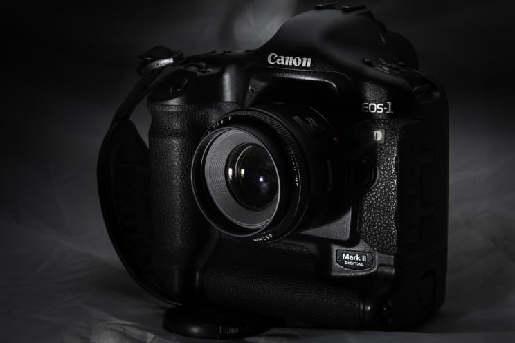 5 Best Canon Cameras for Beginners