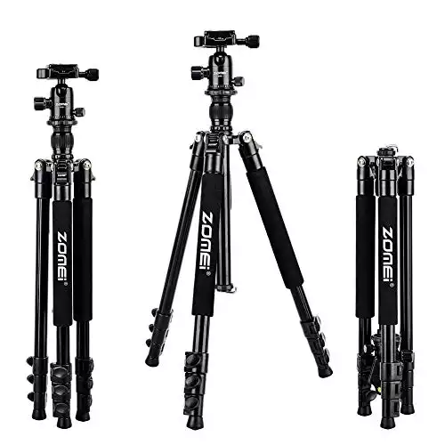 Zomei Q555 62.5” Camera Tripod,Lightweight and Compact Aluminum Portable Travel Tripod with 360 Degree Ball Head for Vlog Nikon Canon Sony All DSLR and Digital Camera