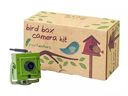 Green Feathers Wildlife Wi-Fi Bird Box Full HD 1080p Camera (3rd Gen) with IR (Night Vision), MicroSD Recording, View Directly On Smartphone, PC or Tablet