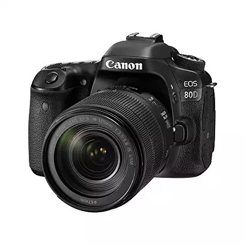 Canon Digital SLR Camera Body [EOS 80D] and EF-S 18-135mm f/3.5-5.6 Image Stabilization USM Lens with 24.2 Megapixel (APS-C) CMOS Sensor and Dual Pixel CMOS AF (Black)