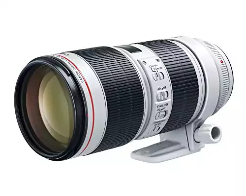 Canon EF 70-200mm f/2.8L IS III USM Lens for Canon Digital SLR Cameras, White – 3044C002