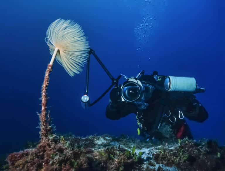 Underwater Photography Tips (Submerged Secrets)