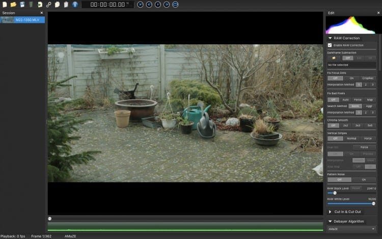 Shoot RAW video on canon cameras