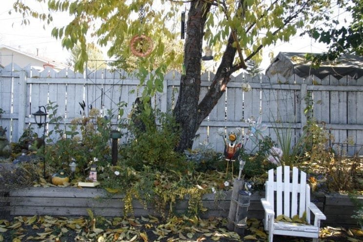 Can My Neighbor Take Pictures of My Backyard?