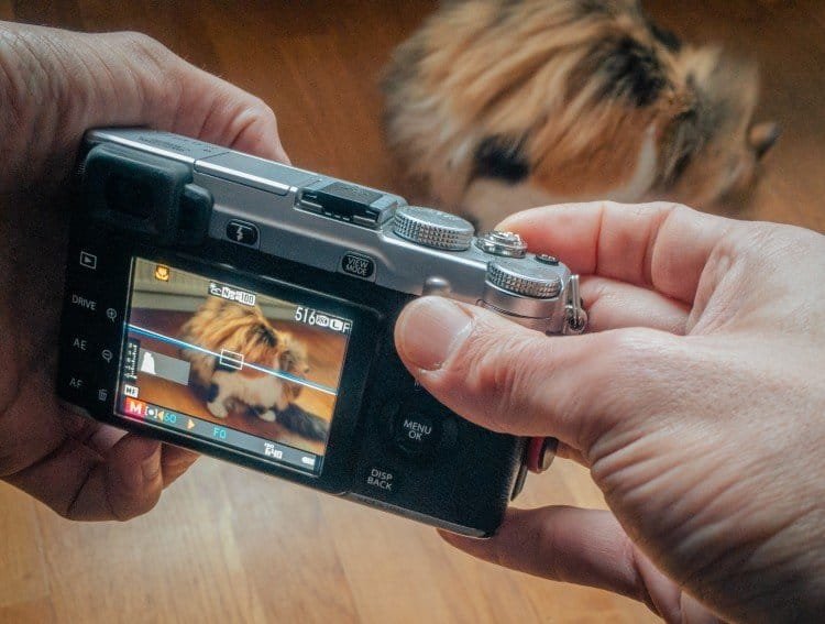 A guide to focus peaking on the Fuji X-E1